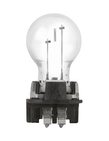 Ampoule PW16W Std 12v C1 - Gasopas Andorra France