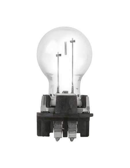 Ampoule PW16W Std 12v C1 - Gasopas Andorra France