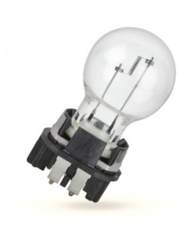 Ampoule PW16W Std 12v C1 - Gasopas Andorra France