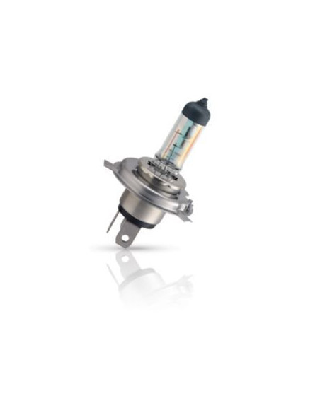 Lámpara H1 VisionPlus 12v S2 - Gasopas Andorra Francia