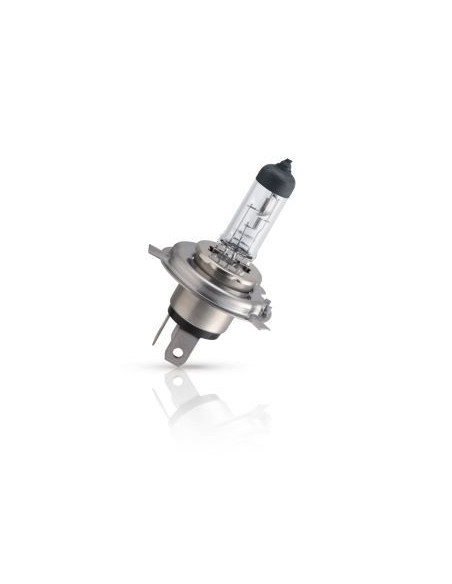 Lámpara H4 VisionPlus 12v S2 - Gasopas Andorra Francia